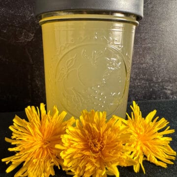 dandelion vinegar recipe