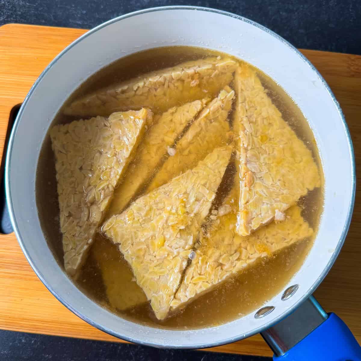 steamed tempeh