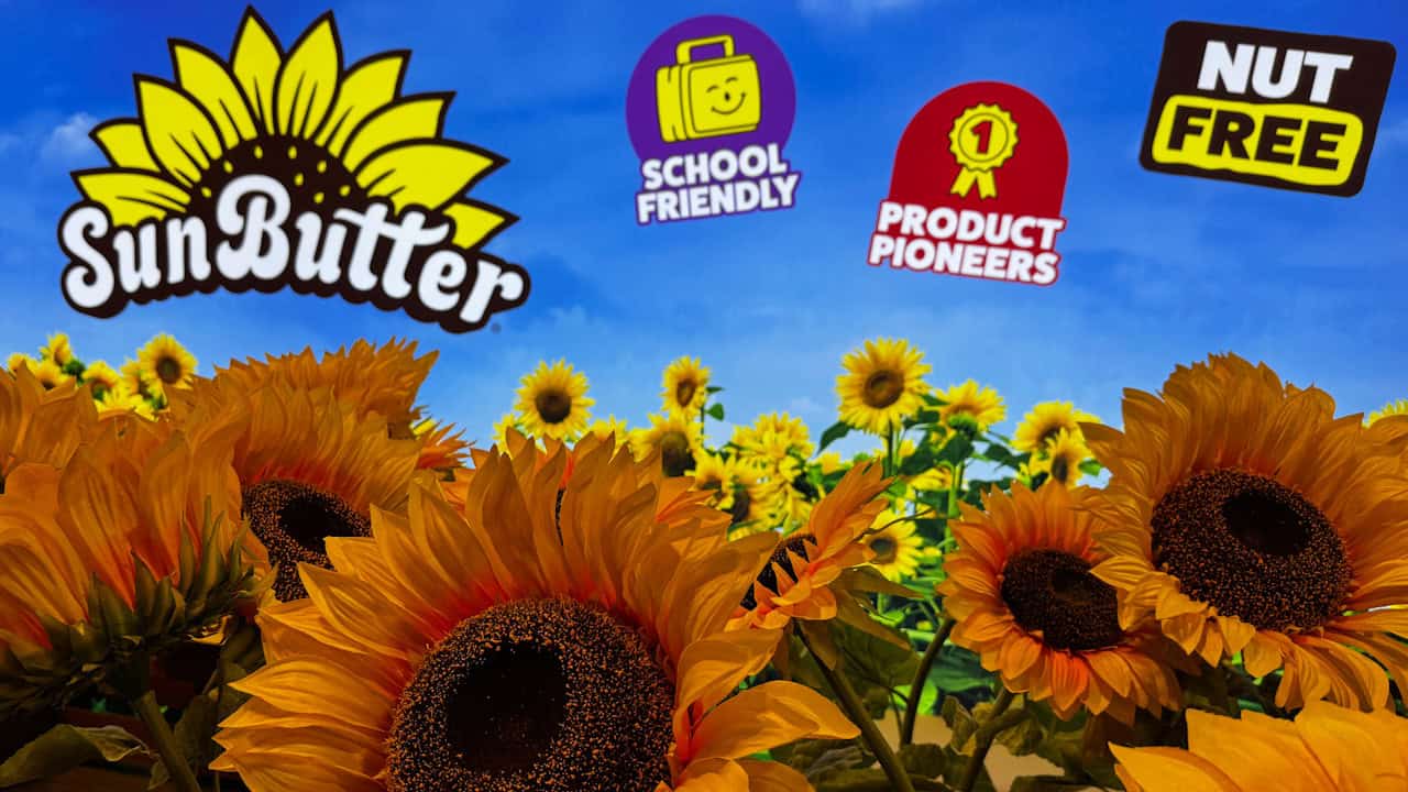 sunflower butter
