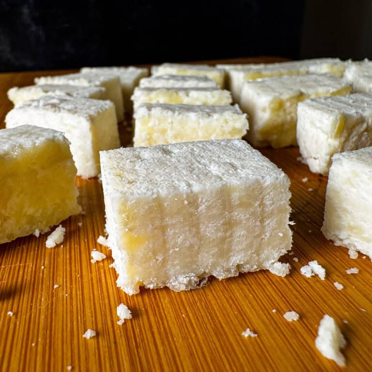 instant pot paneer