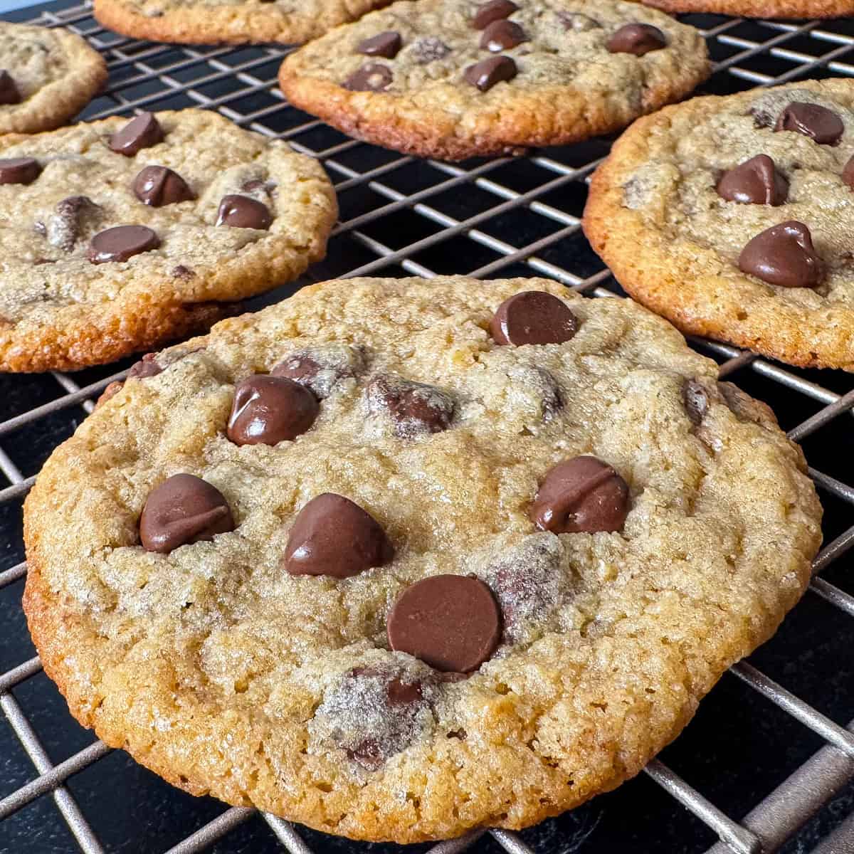 kodiak cakes chocolate chip cookies recipe