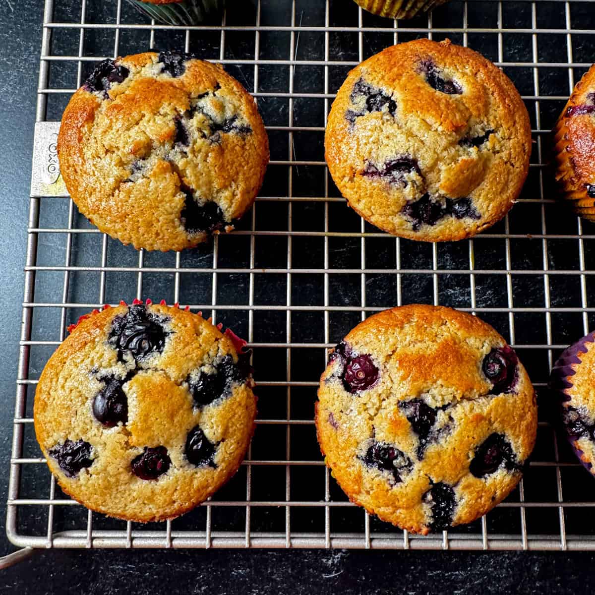 kodiak blueberry muffins