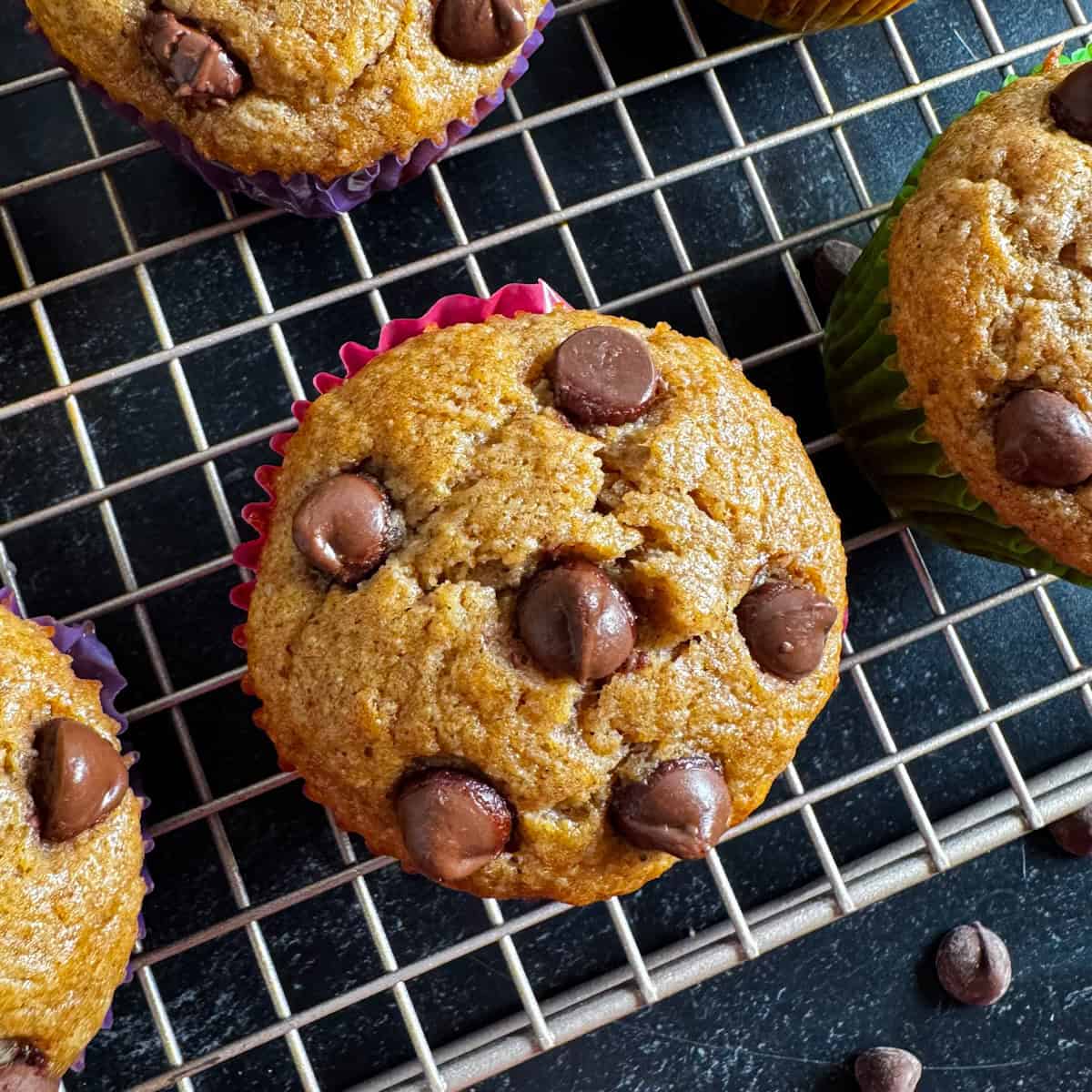 kodiak cakes banana muffin