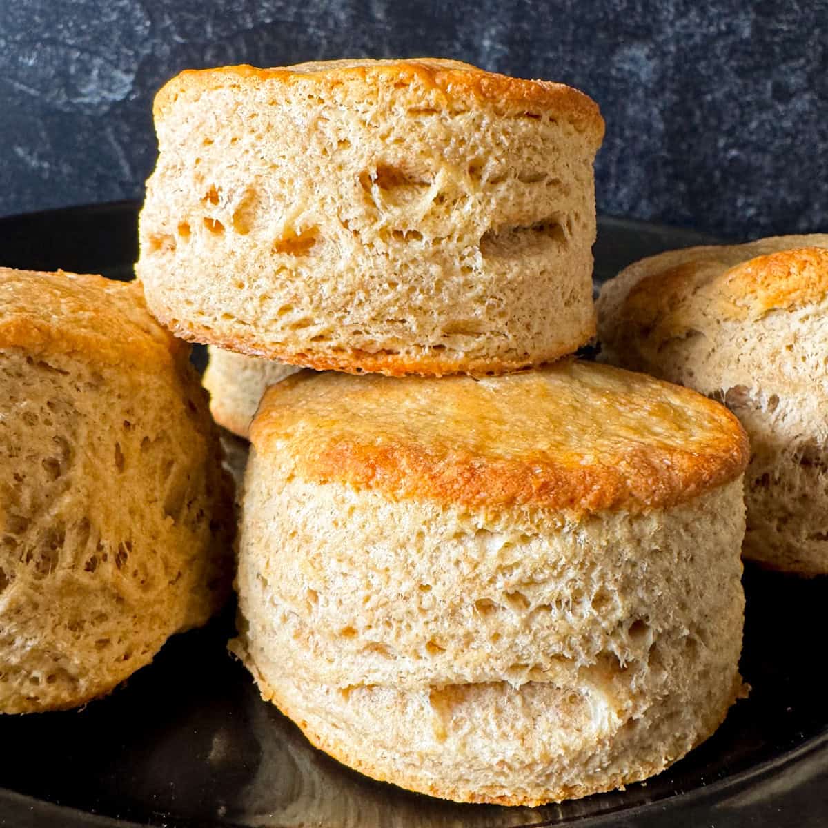 kodiak cakes biscuits