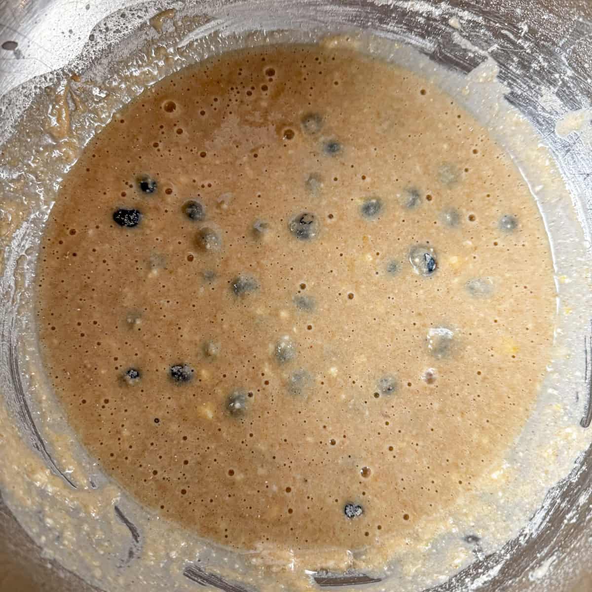 kodiak cakes blueberry muffin batter