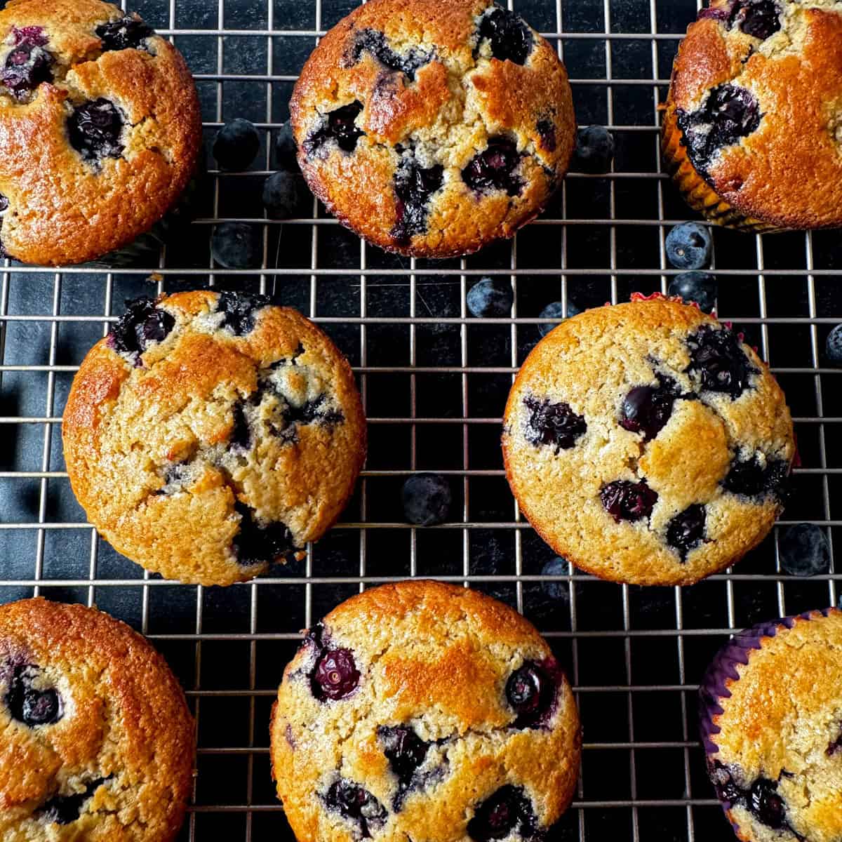 kodiak cakes blueberry muffins