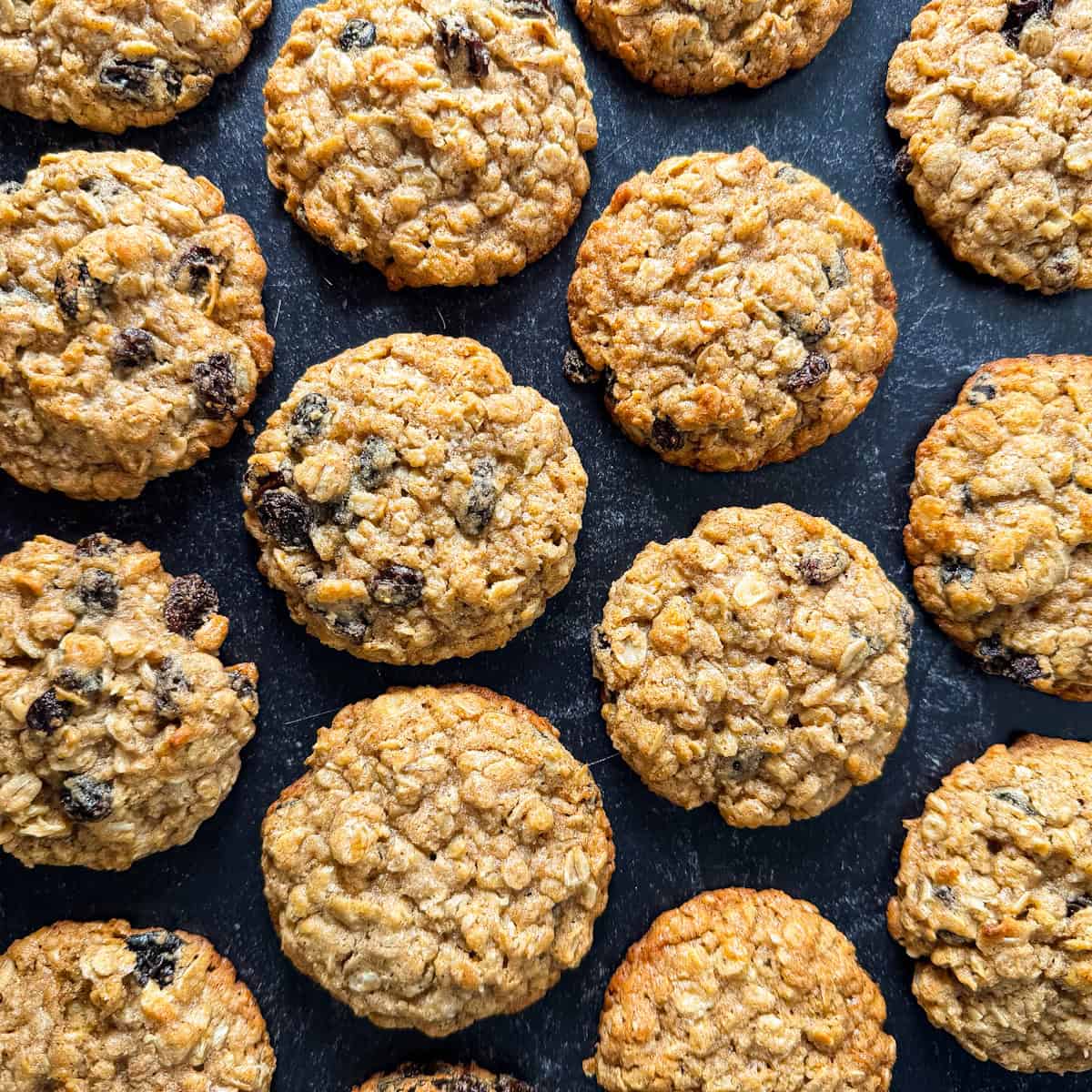 kodiak cakes oatmeal raisin cookies recipe