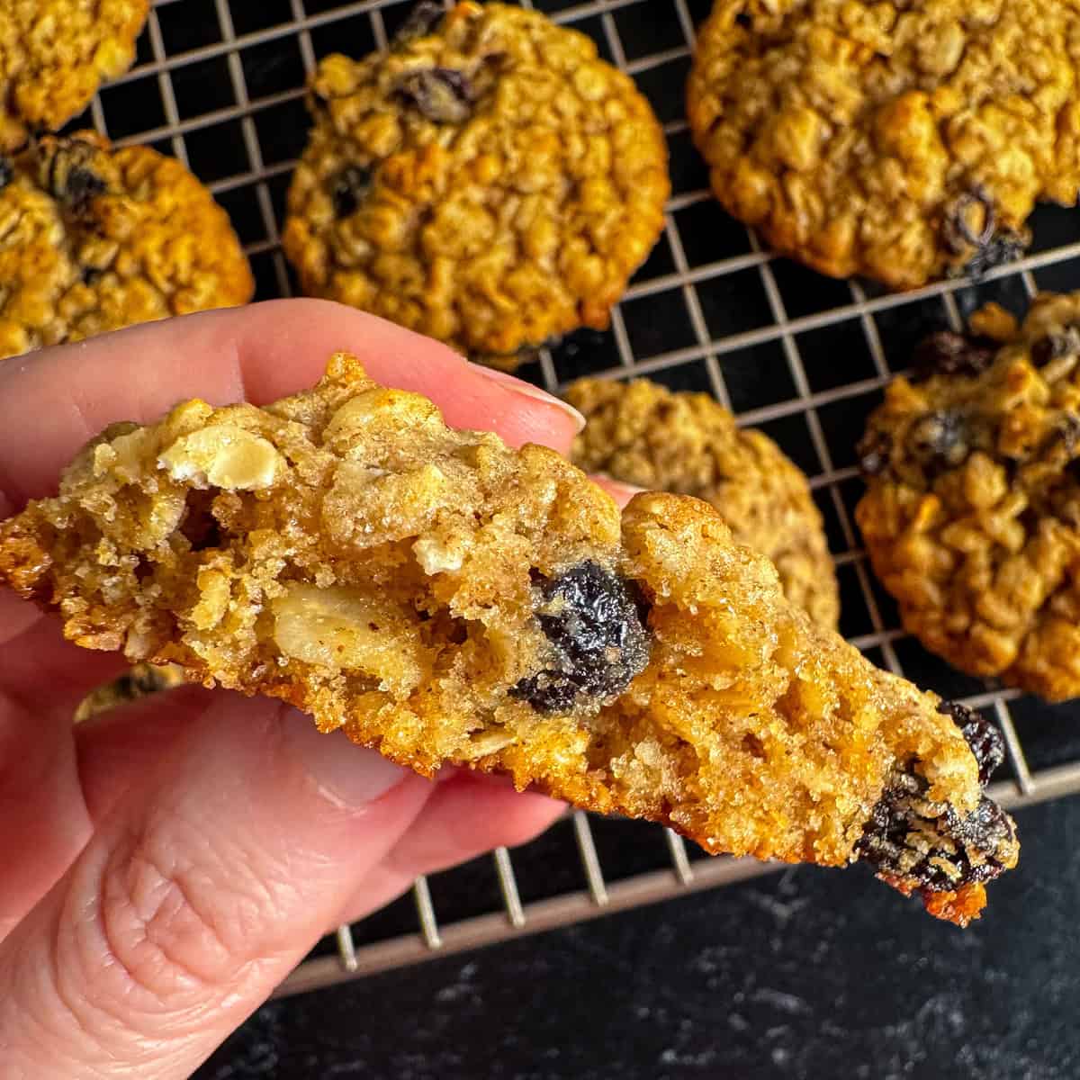 kodiak oatmeal raisin cookie