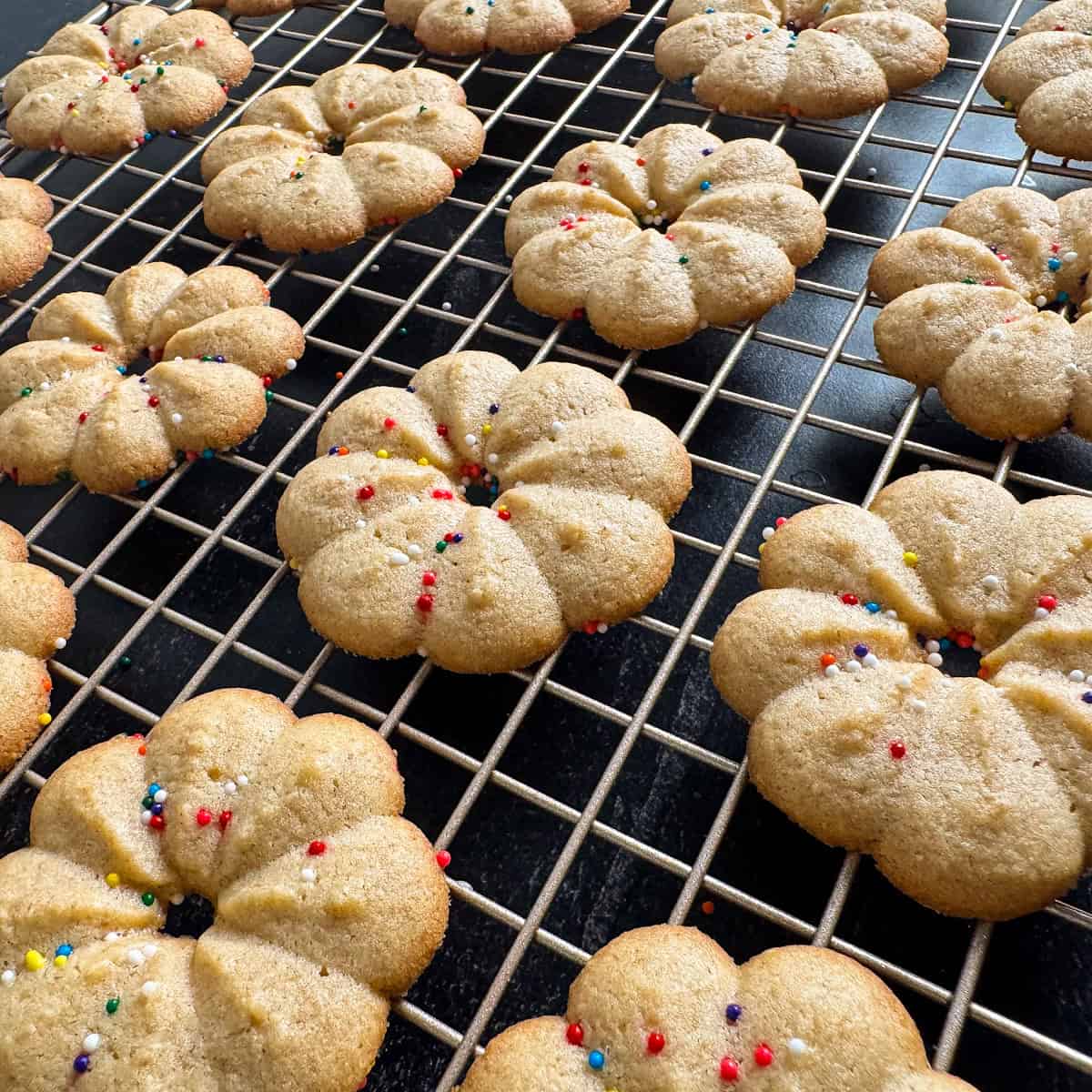 kodiak cakes butter cookies recipe