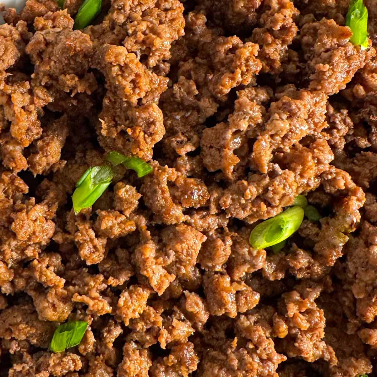 air fryer ground beef