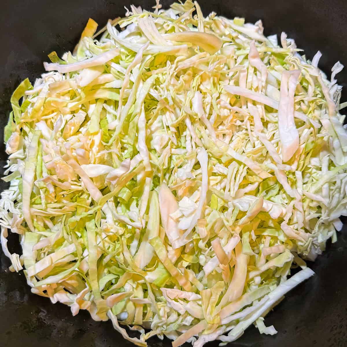 cabbage